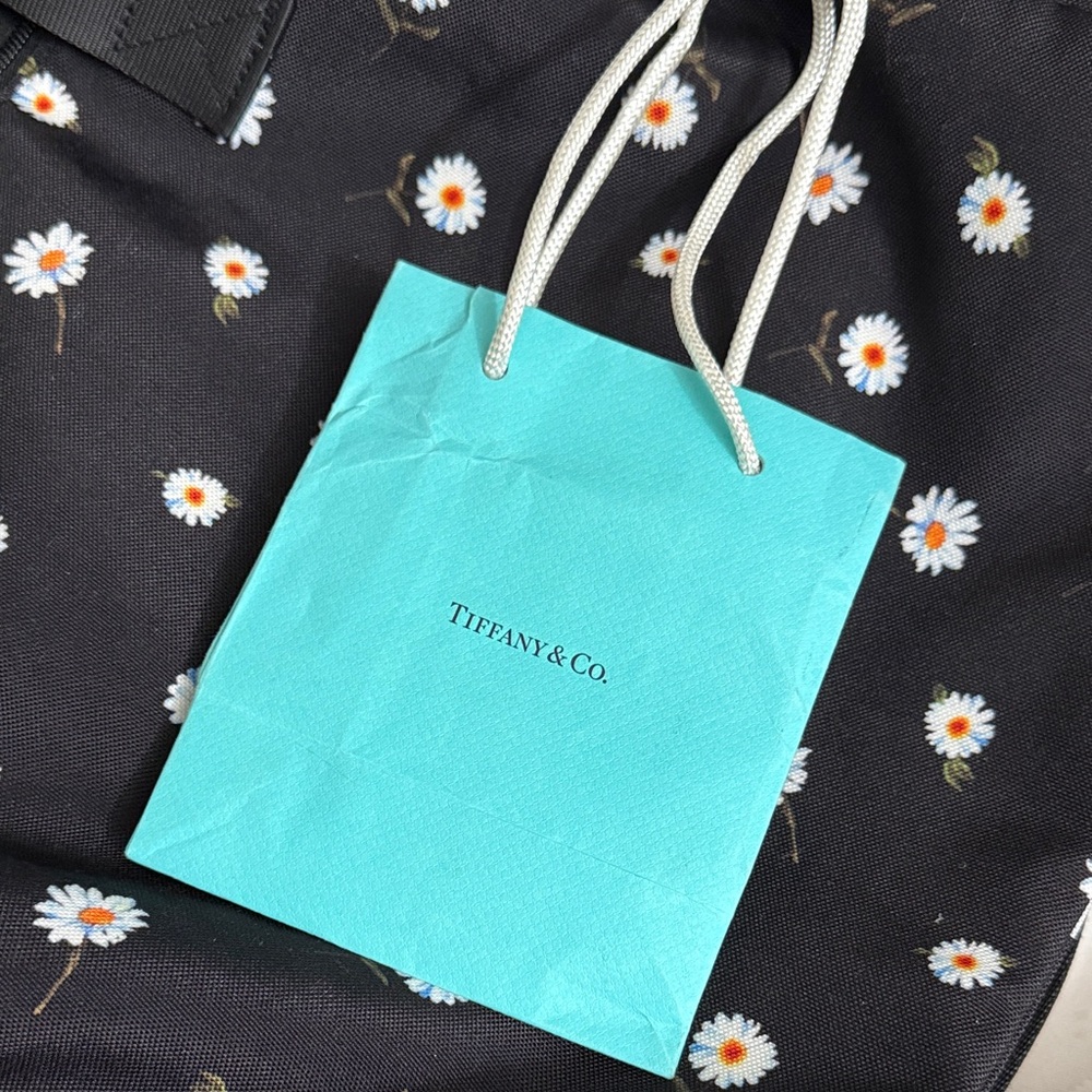 Tiffany & Co. Small shopping Bag w/receipt holder